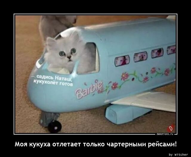 Демотиваторы свежие и прикольные