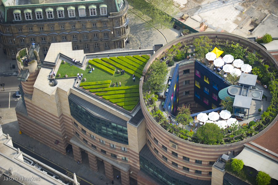 Сады на Лондонских крышах
