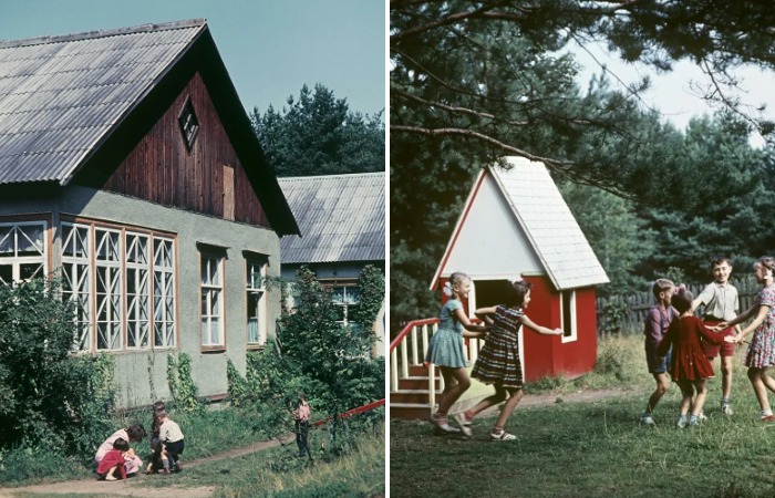 Секрет притягательности дач: почему советские граждане отовсюду съезжались на свой участок дача,общество,сад и огород