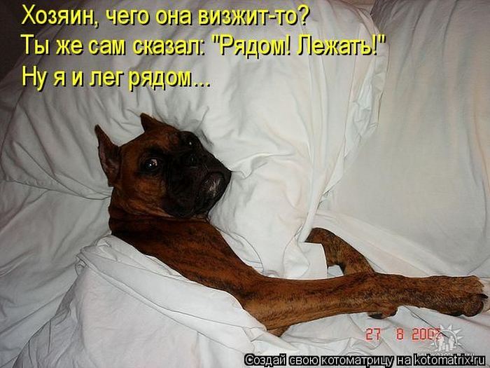 Мысли вслух :)