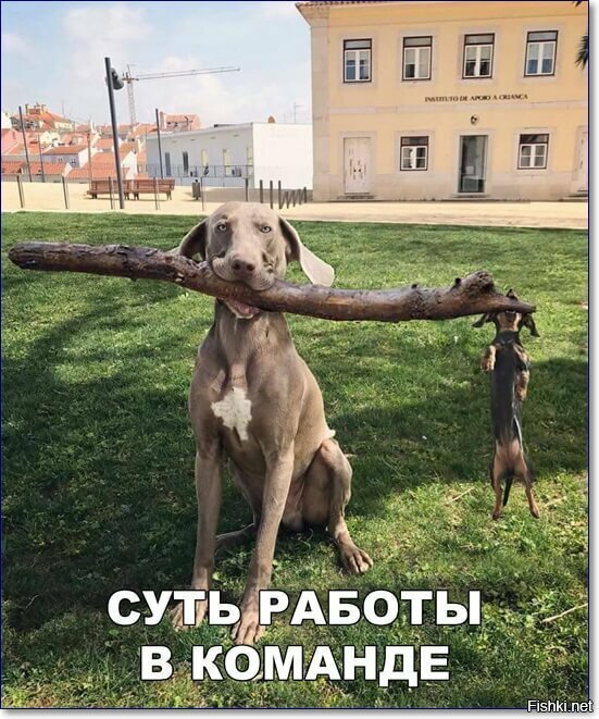 Юбилейная подборка интересных и веселых картинок №50 Юбилейная подборка интересных и веселых картинок №50 отдых