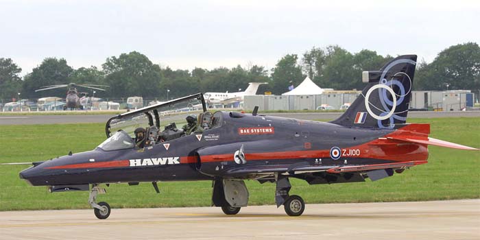 hawk100-8.jpg