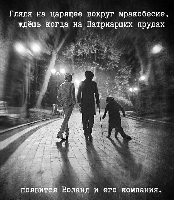 Подборка картинок. Дневной выпуск (51 фото)