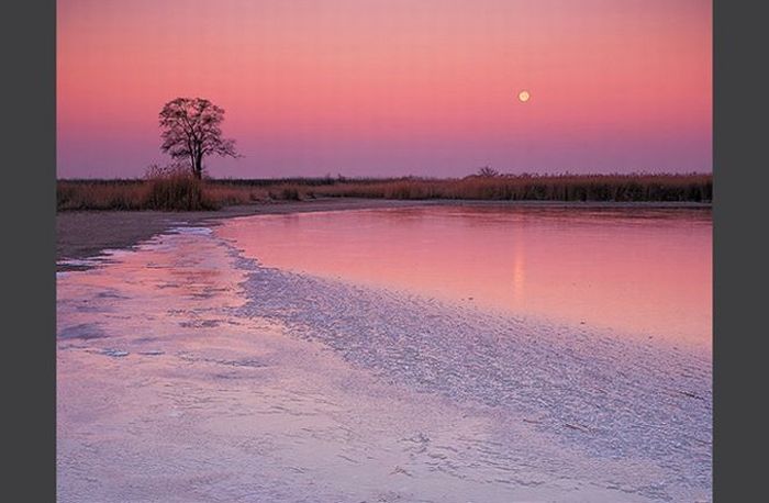 Красивая подборка фотографий животных и природы (67 фото)