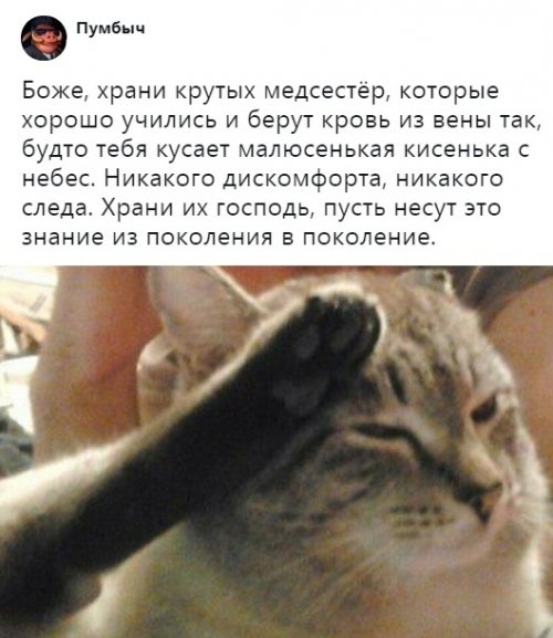 Пост прикольных картинок шутки, юморина