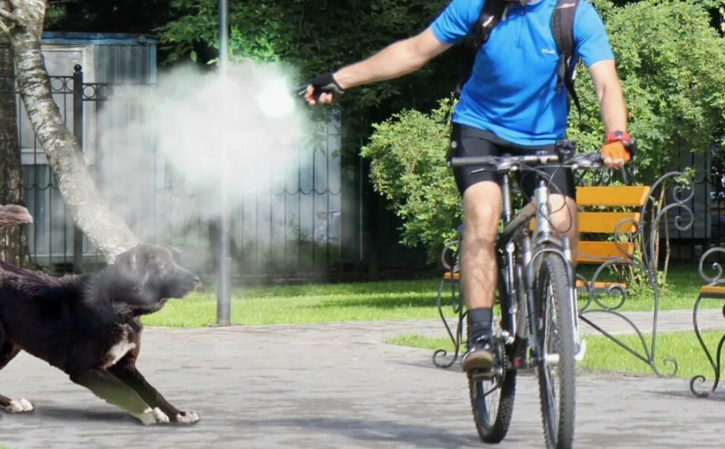 Собаки против людей. Велосипедист с собакой. Собака гонится за велосипедом. Собаки напали на велосипед. Отпугивание собак на велосипеде.