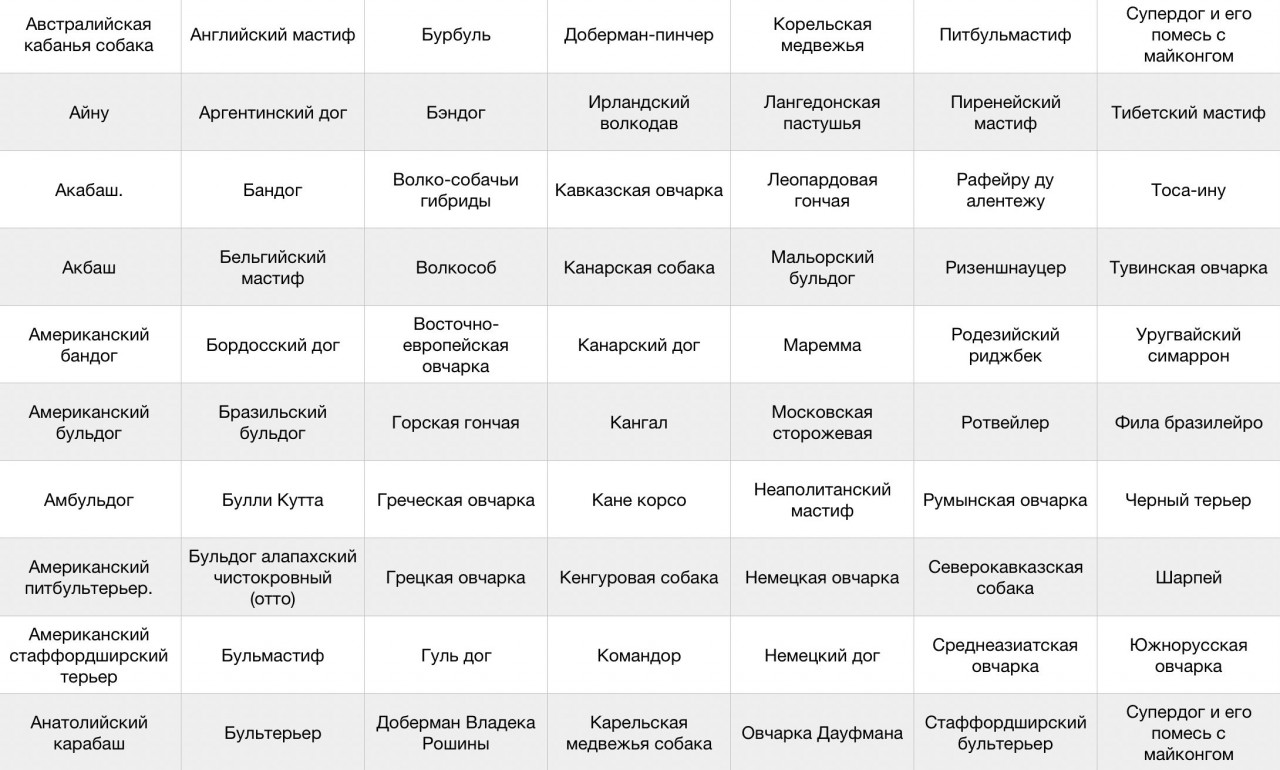 Самые опасные породы собак по мнению российской полиции Культура