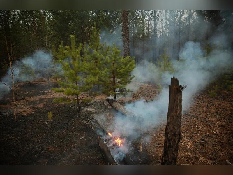 Синоптики прогнозируют риск возникновения пожаров в районах Забайкалья