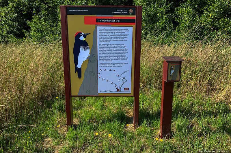 Как американцы любят природу. Путевые заметки заграница,поездка,путешествие,страны,туризм