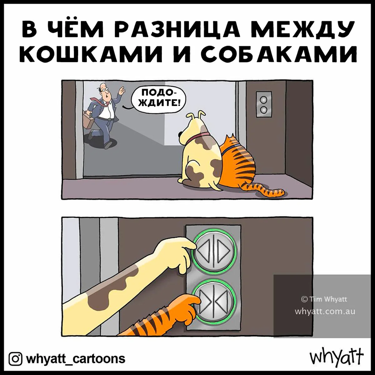 Смешные моменты из жизни взрослых людей веселые картинки,смех