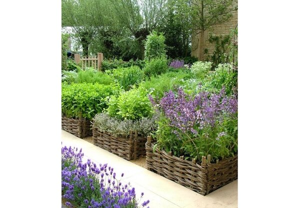 Как сделать грядки не как у всех. Удобные и практичные идеи Как сделать грядки не как у всех. Удобные и практичные идеи идеи,сделай сам,советы