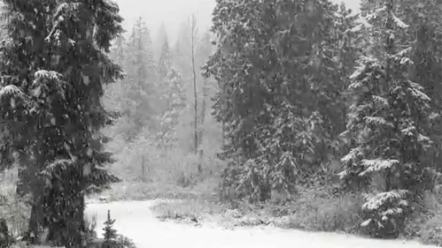 Прикольные и веселые гифки для хорошего настроения 