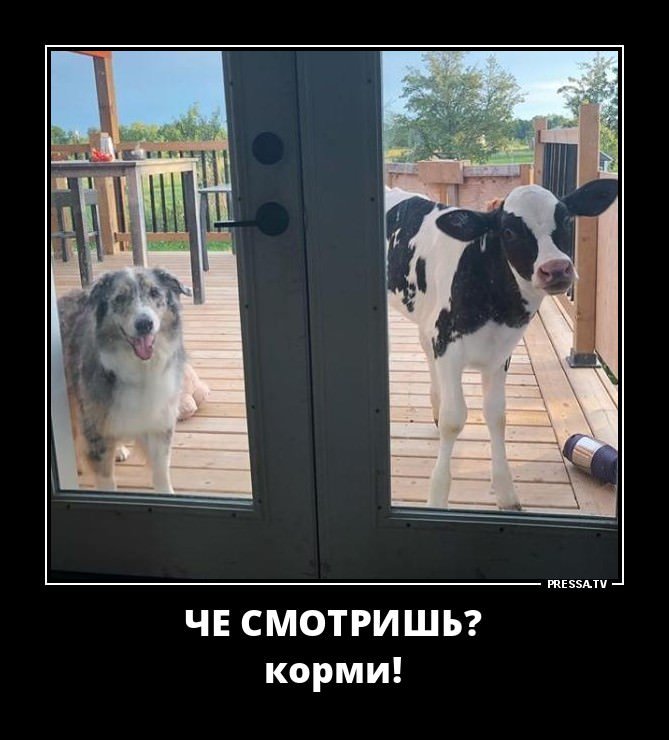 Фото с надписью дратути, создать анимационные