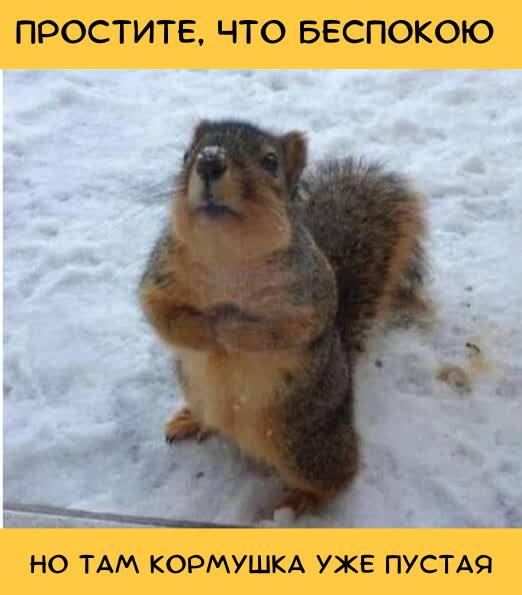 Убойные картинки с надписями 