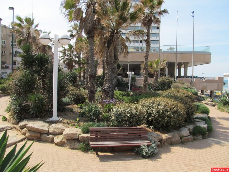 Израиль — страна-пустыня? Нет, страна-сад! Израиль — страна-пустыня? Нет, страна-сад!