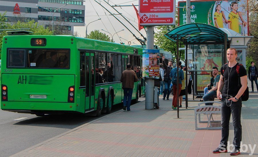 Стерва