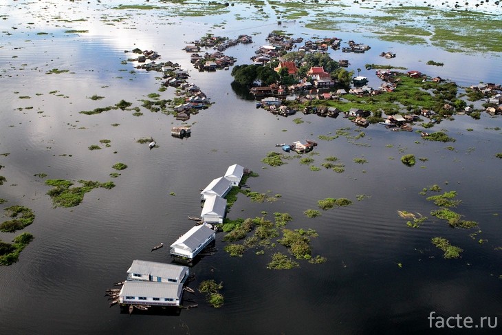 Жизнь в окружении воды Жизнь в окружении воды жизнь,интересное,общество