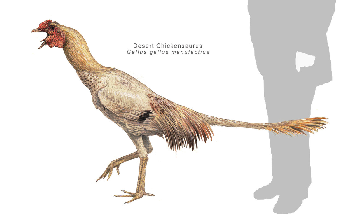 Курозавр, по предварительным представлениям ученых, будет выглядеть примерно так. 