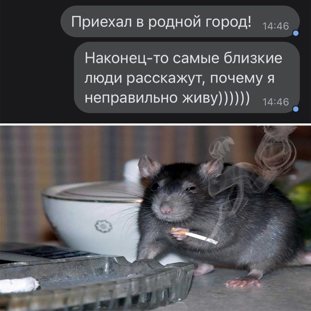 Подборка прикольных картинок  приколы,смешные картинки,юмор