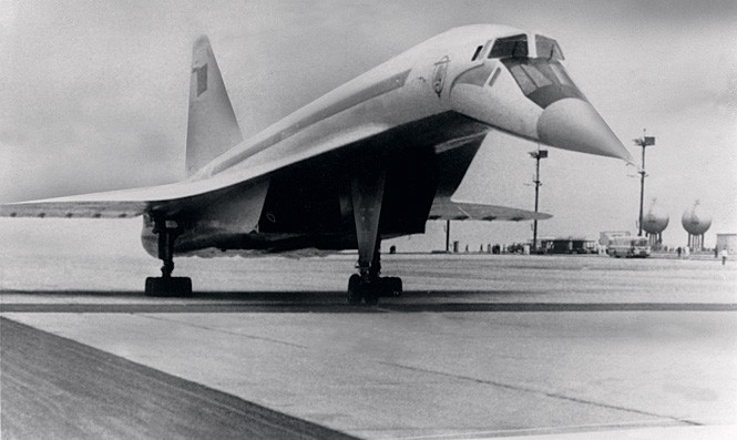 13 наглядных примеров, почему быть большим — опасно 13 наглядных примеров, почему быть большим — опасно интересное