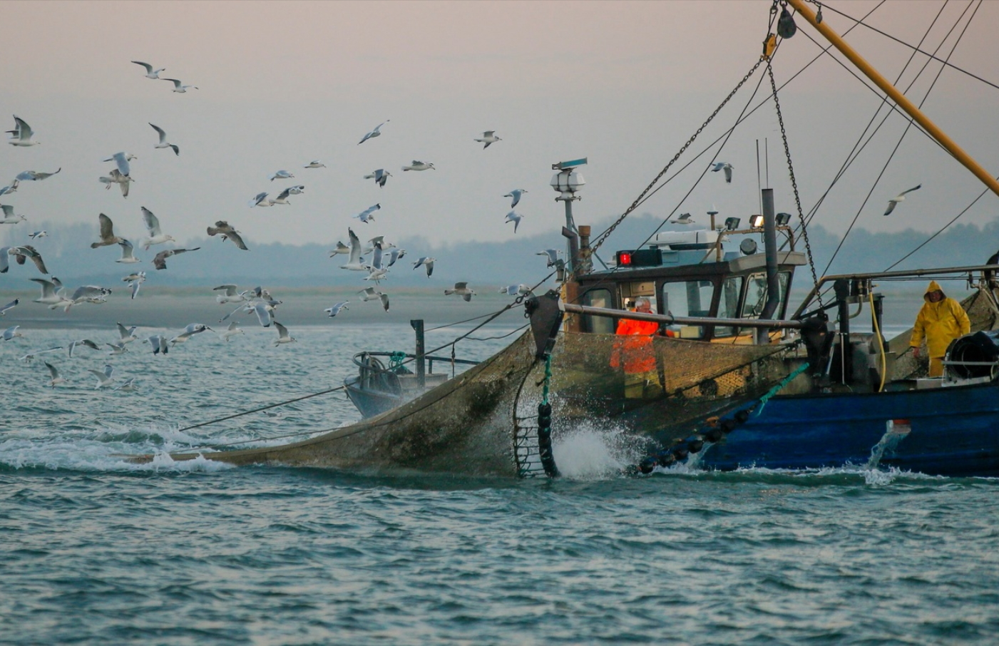 Каспийское море промысел