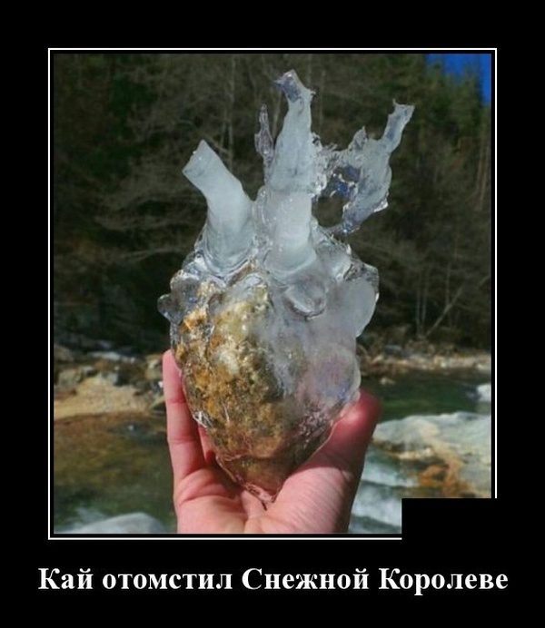 Весёлые картинки в чёрной рамке 