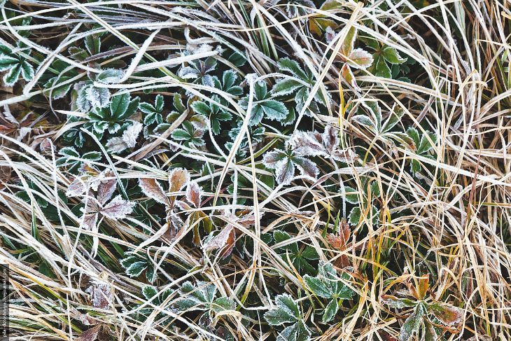 В горах Шамони, или Как увидеть четыре времени года за один день В горах Шамони, или Как увидеть четыре времени года за один день