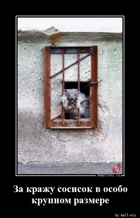 Демотиваторы с приколами: «Позаботься о своём будущем» 