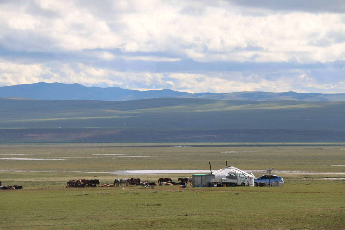  "Шестнадцатая союзная республика", "скотоводческая сверхдержава", "страна последних кочевников" - все эти эпитеты довольно точно подходят Монголии, стране, которую мало кто у нас хорошо себе...-32