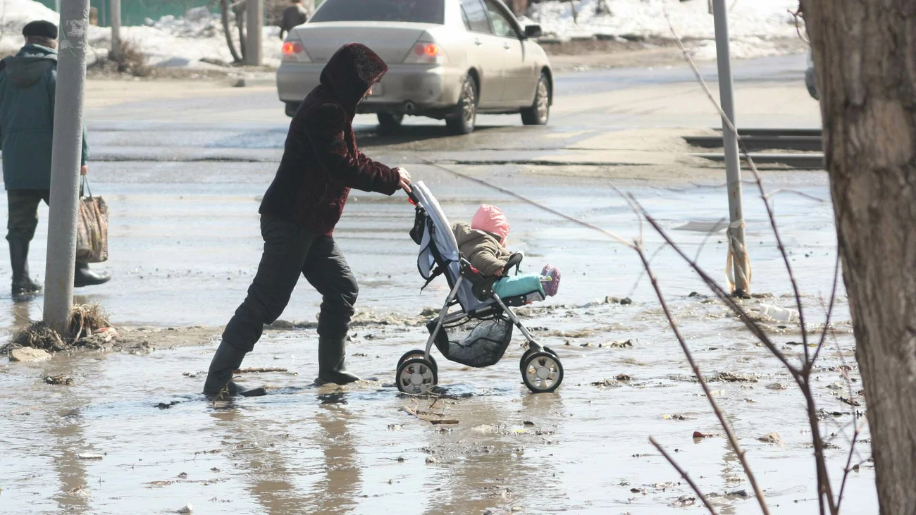 До +16 градусов потеплеет в Алтайском крае 27 марта