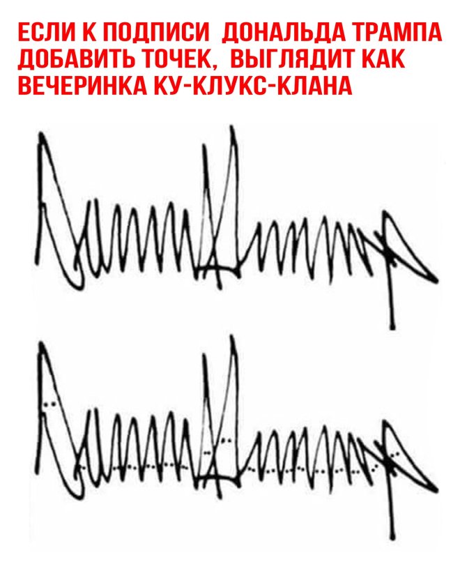 Юмор за день и Изольда 