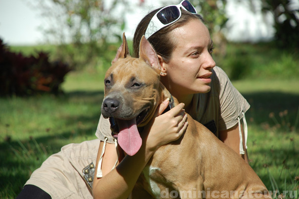 доминиканская республика виза, доминиканская республика гражданство как получить, доминиканская республика иммиграция