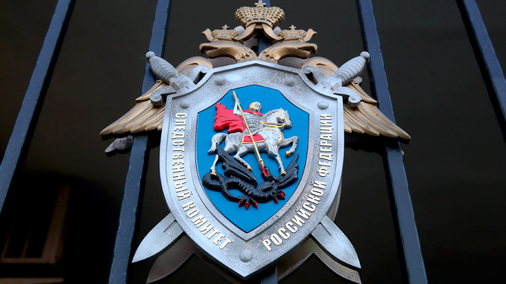 ИНОСТРАННЫМ ШПИОНАМ ПОМОГАЛ ПОЛИЦЕЙСКИЙ. "РАССЛЕДОВАНИЕ" BELLINGCAT ПОСТРОЕНО НА ПРЕСТУПЛЕНИЯХ