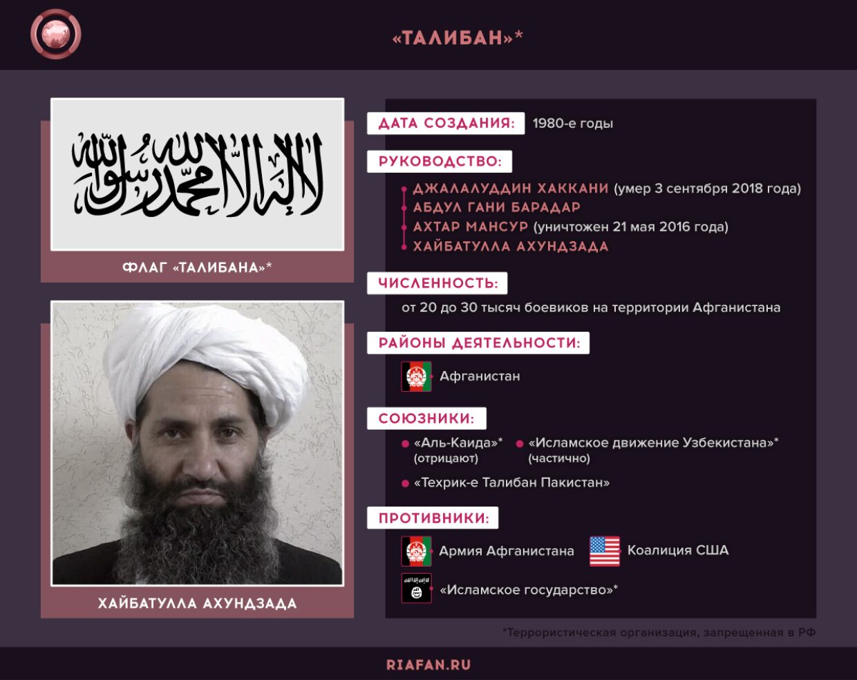 Движение талибан запрещено в россии. Структура Талибан. Организация Талибан. Талибан флаг. Талибы в Афганистане.
