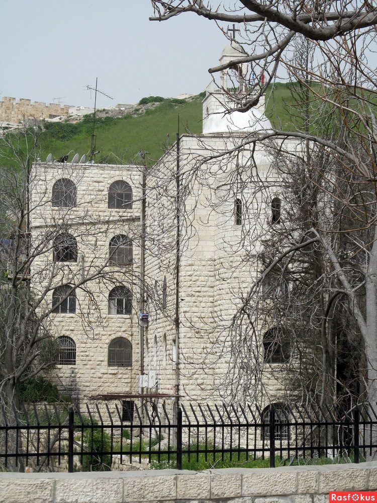 Израиль — страна-пустыня? Нет, страна-сад! Израиль — страна-пустыня? Нет, страна-сад!