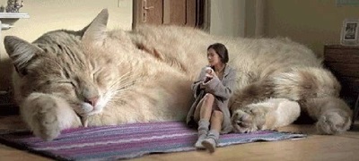 Женщины взрослеют быстрее, чем мужчины, потому что у первых грудь появляется в 14, а у вторых- где-то в 45