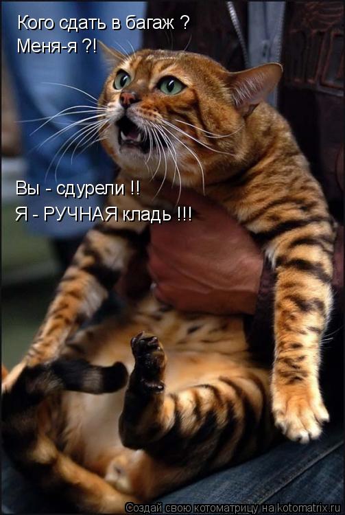 Давайте улыбаться вместе! :) (23улыбоки)