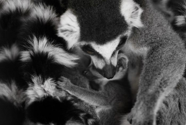 Фотография: От этих фото на душе становится теплей №20 - BigPicture.ru