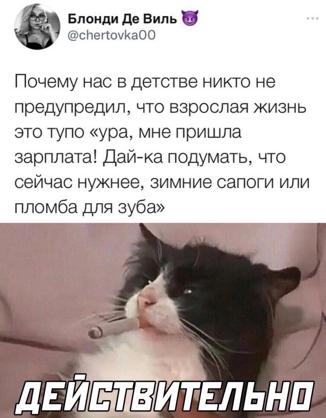 Подборка картинок. Вечерний выпуск  приколы,смешные картинки,юмор