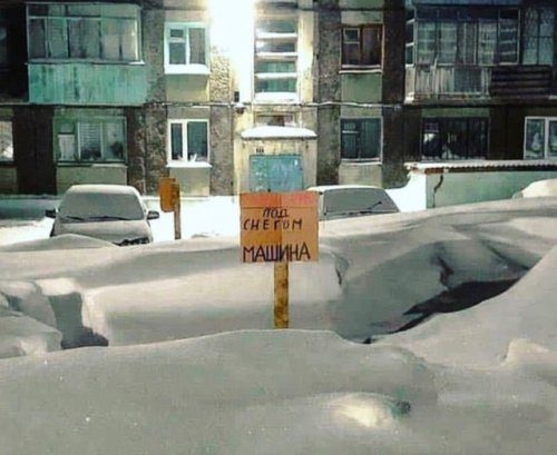 Позитив в прикольных картинках Позитив в прикольных картинках