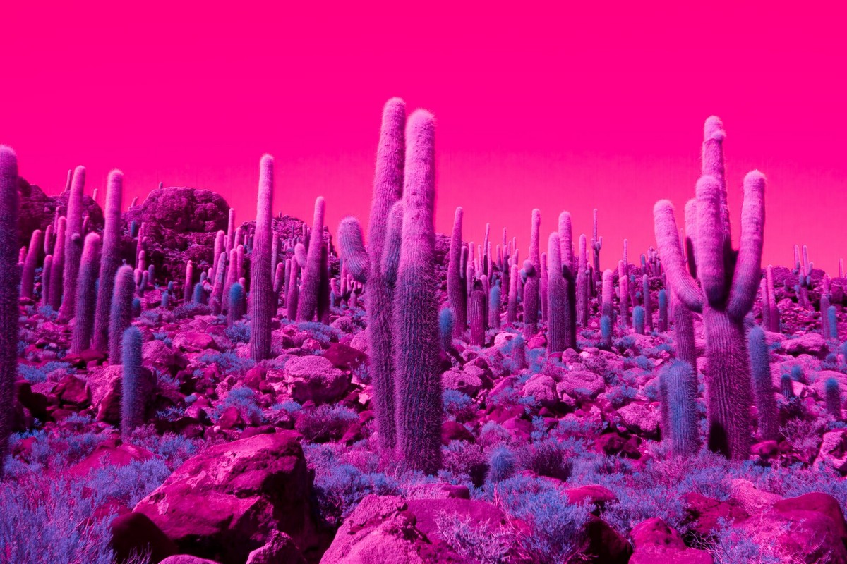 Колоритные инфракрасные снимки из путешествий Кейт Баллис Америка,инфракрасный,тревел-фото