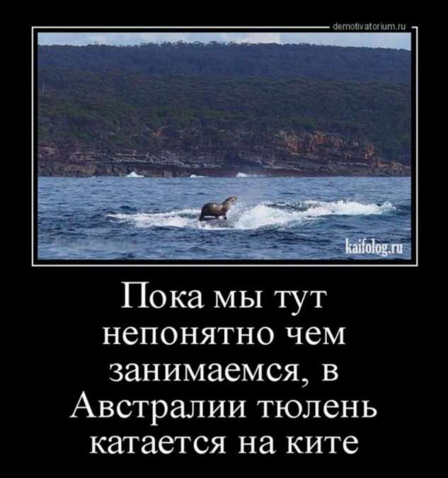 В Британии очень многие ездят на великах. Именно поэтому её часто называют Великобританией шрамы, говорит, видов, паука, Работаю, столицу, рыцарь, Приехал, работает, проверить, накормить, вероятность, говорю, Когда, тысяч, взять, половиной, например, комаров, Одних