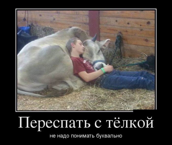 Если женщина молчит, лучше ее не перебивать Если женщина молчит, лучше ее не перебивать анекдоты