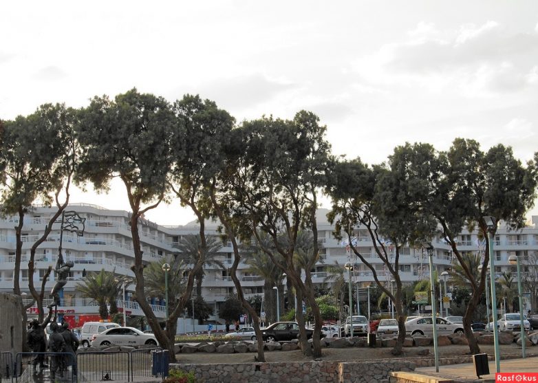 Израиль — страна-пустыня? Нет, страна-сад! Израиль — страна-пустыня? Нет, страна-сад!