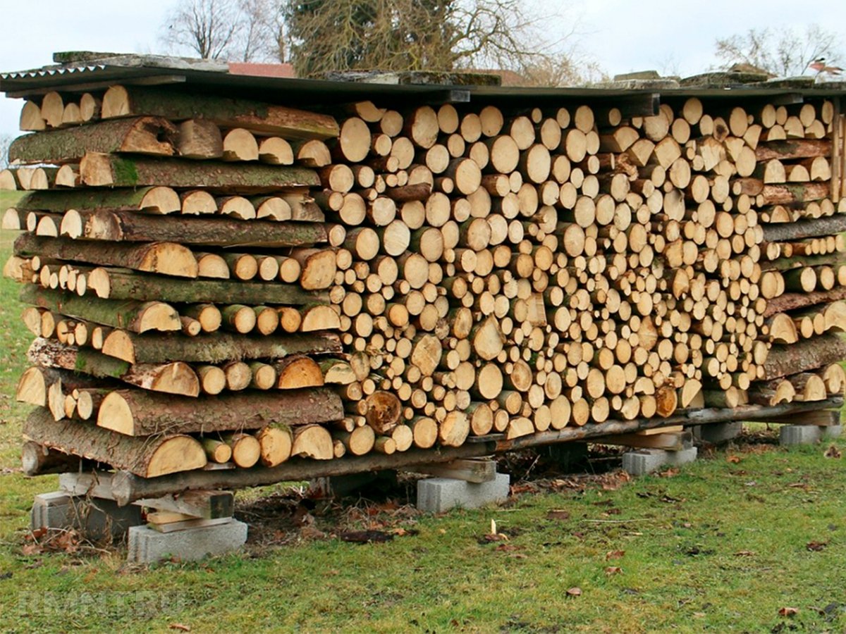 Как правильно хранить дрова на участке