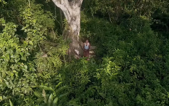 С 16 лет этот человек высаживает по дереву в день на исчезающем острове