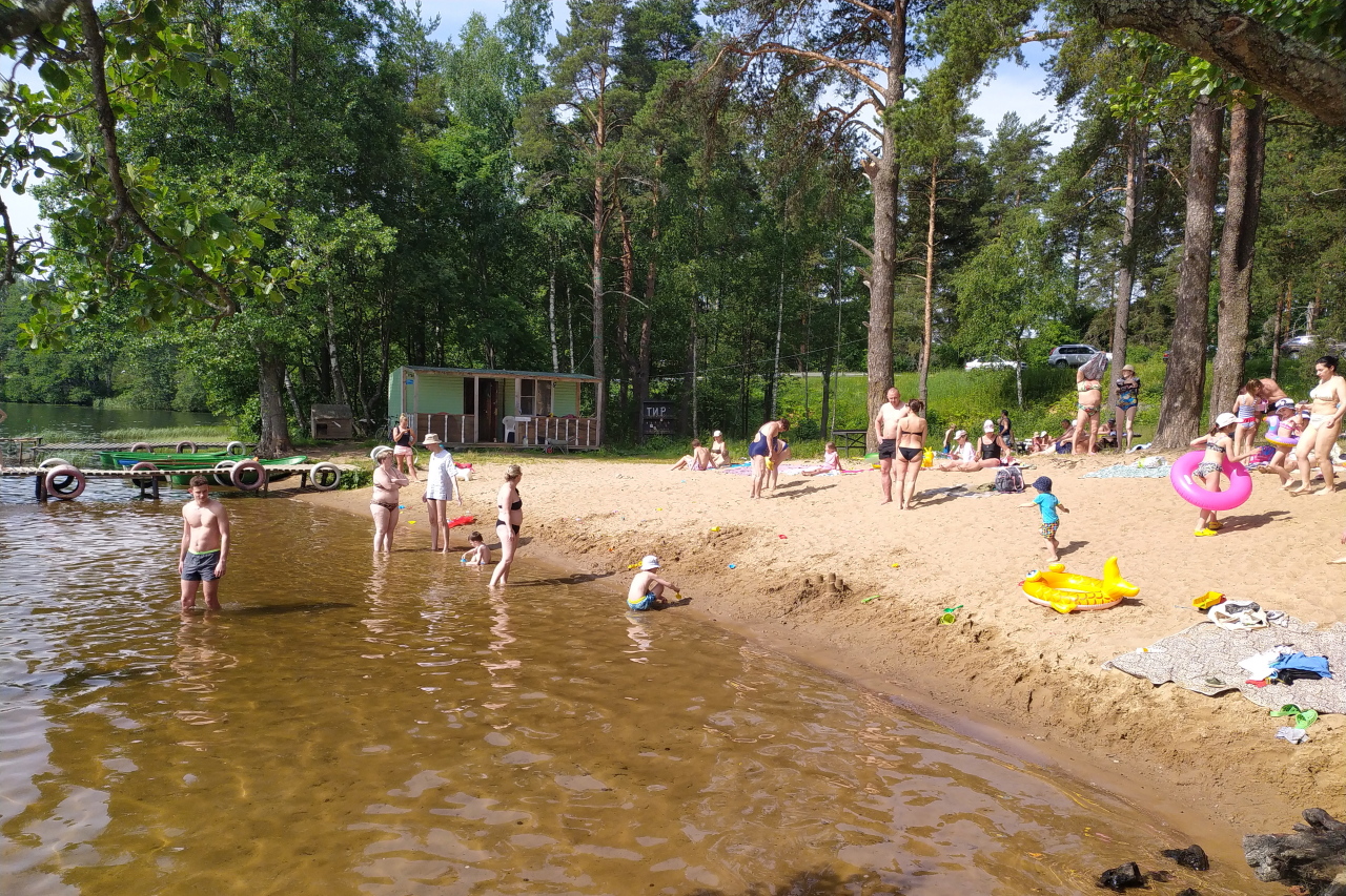 озеро в орехово зуево