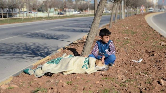 01-refugee-comforts-stray-dog-710x399