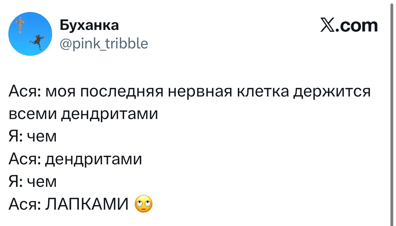 Лучшие шутки дня из X (бывшего Твиттера)