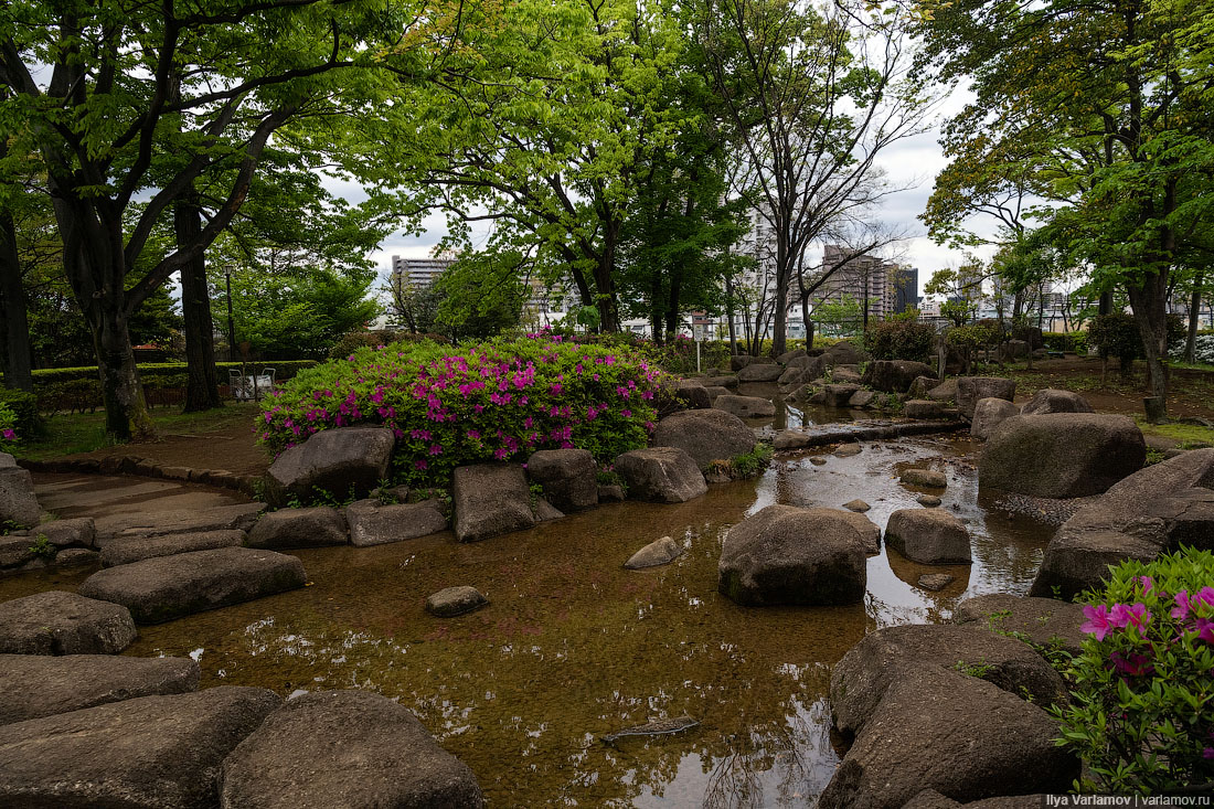 Что японцы делают с мусором Что японцы делают с мусором городская среда, интересное, мусор, парк, путешествия, токио, япония
